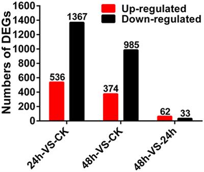 Transcriptome Analysis of Arabidopsis thaliana in Response to Plasmodiophora brassicae during Early Infection